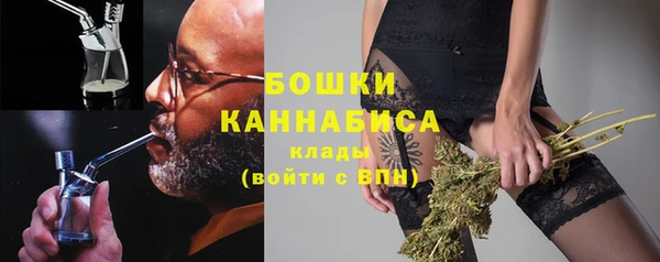 шишки Инсар