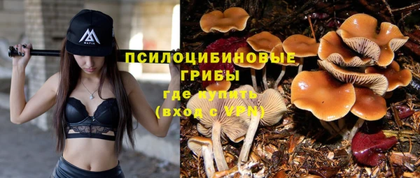 стафф Каменск-Шахтинский