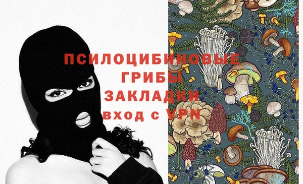 стафф Каменск-Шахтинский