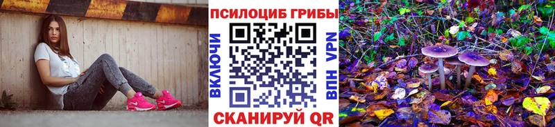 Галлюциногенные грибы MAGIC MUSHROOMS  Купить закладки  Дятьково 